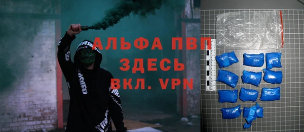 МДПВ Бородино