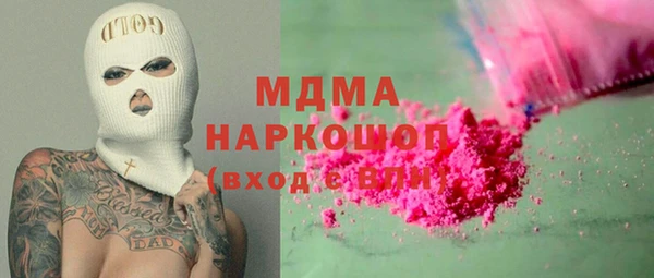 МДПВ Бородино