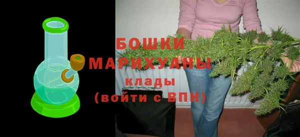 МДПВ Бородино