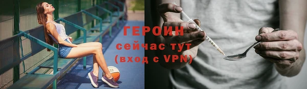 МДПВ Бородино