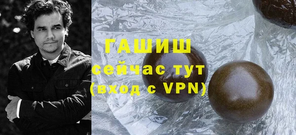 МДПВ Бородино