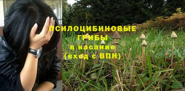 МДПВ Бородино