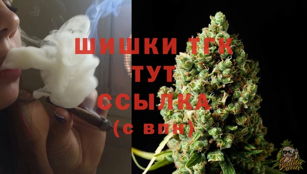 МДПВ Бородино