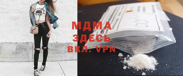 МДПВ Бородино