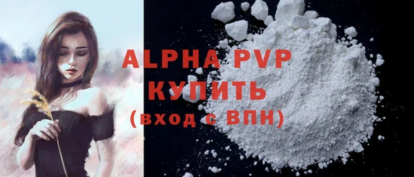 МДПВ Бородино