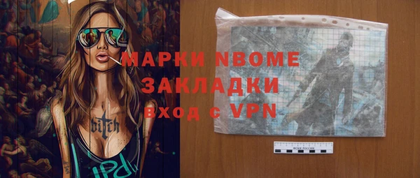 МДПВ Бородино
