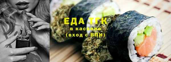 МДПВ Бородино